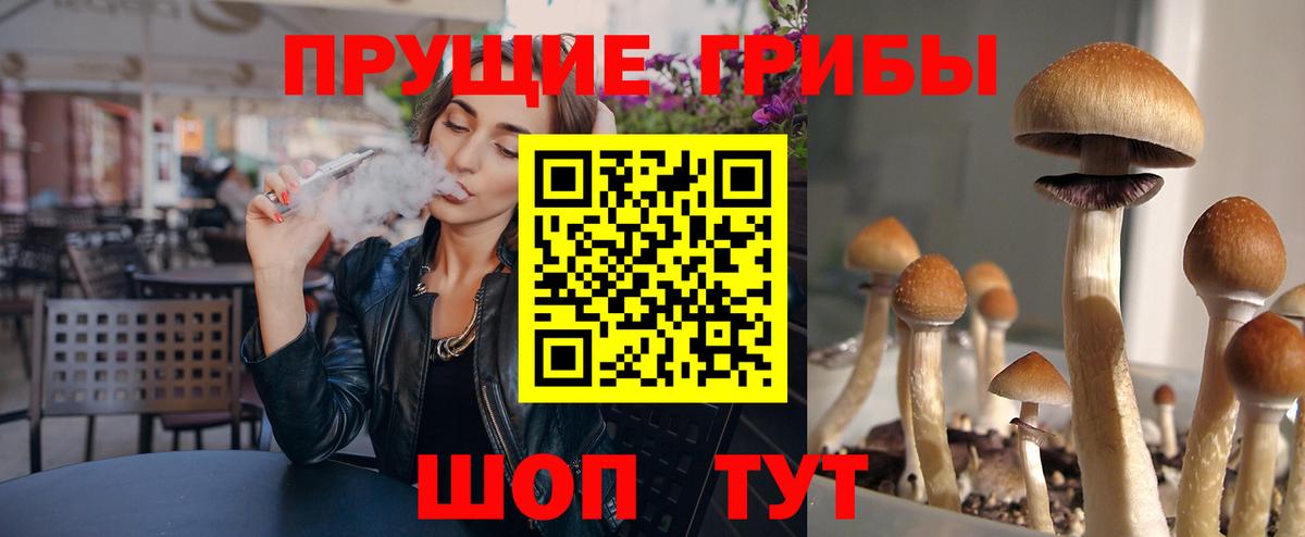 купить наркотик  Вход с VPN  Моздок  Псилоцибиновые грибы мицелий 
