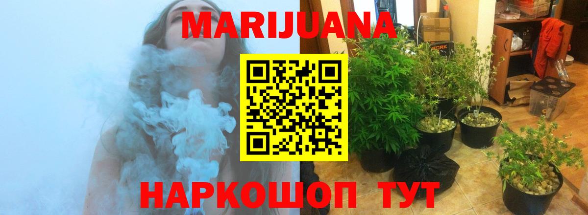 Бошки Шишки ГИДРОПОН  Шишки марихуана MAZAR  Моздок  Марихуана конопля  Вход с VPN 
